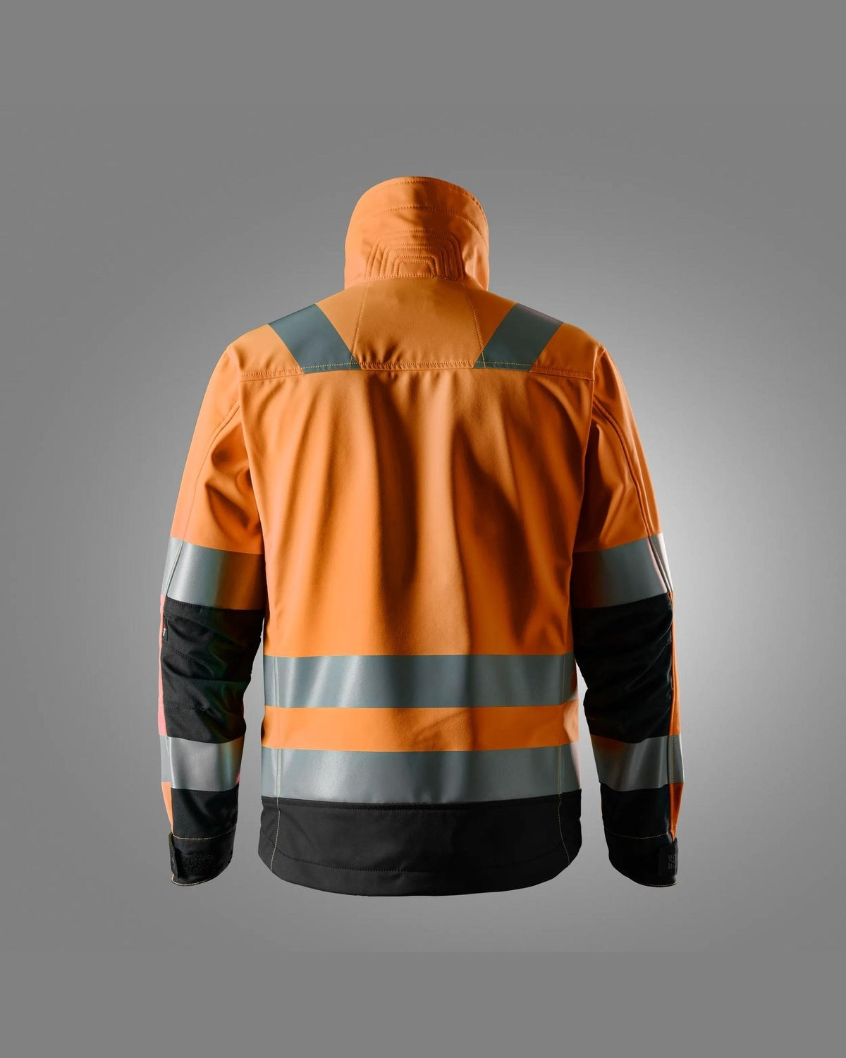 1230-5504_back.jpg