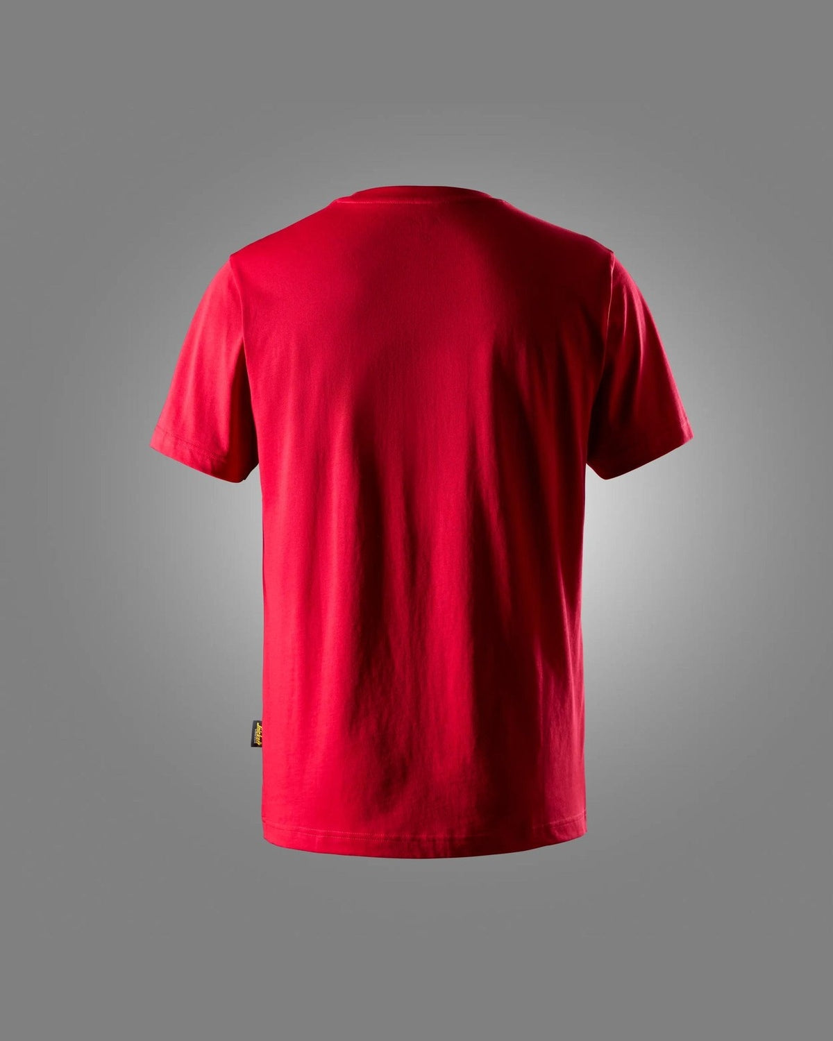 2502-1600_back.jpg