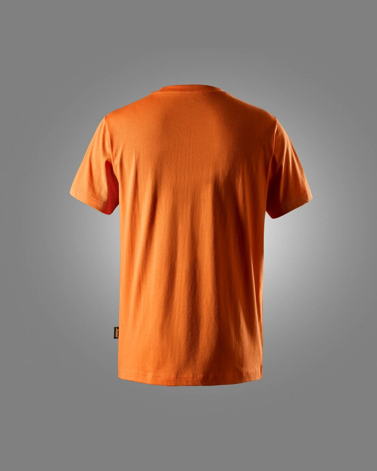 2502-4100_back.jpg