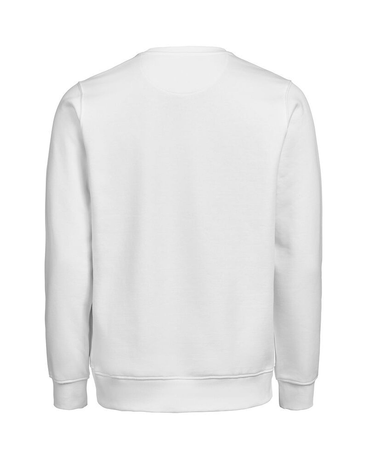 3430010_100_3_3430010-100__20UMCrewneckRegularFit_back.jpg