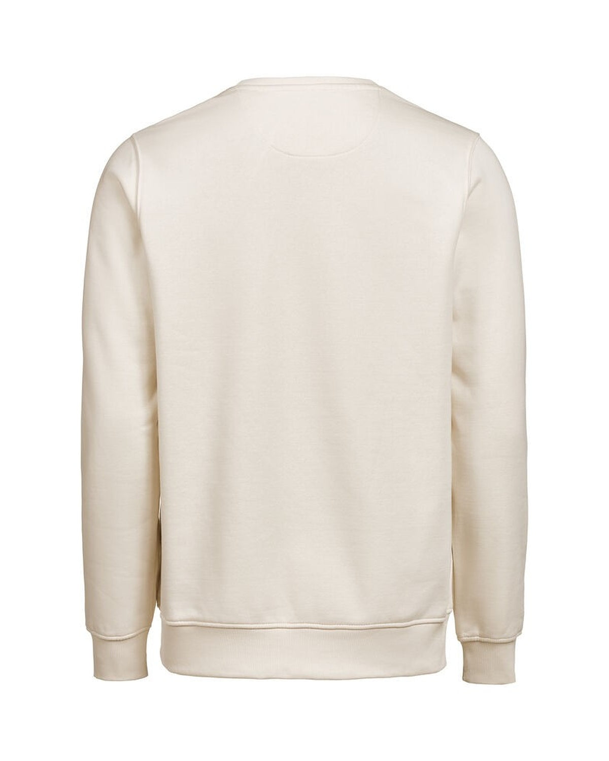 3430010_170_2_3430010-170__20UMCrewneckRegularFit_back.jpg