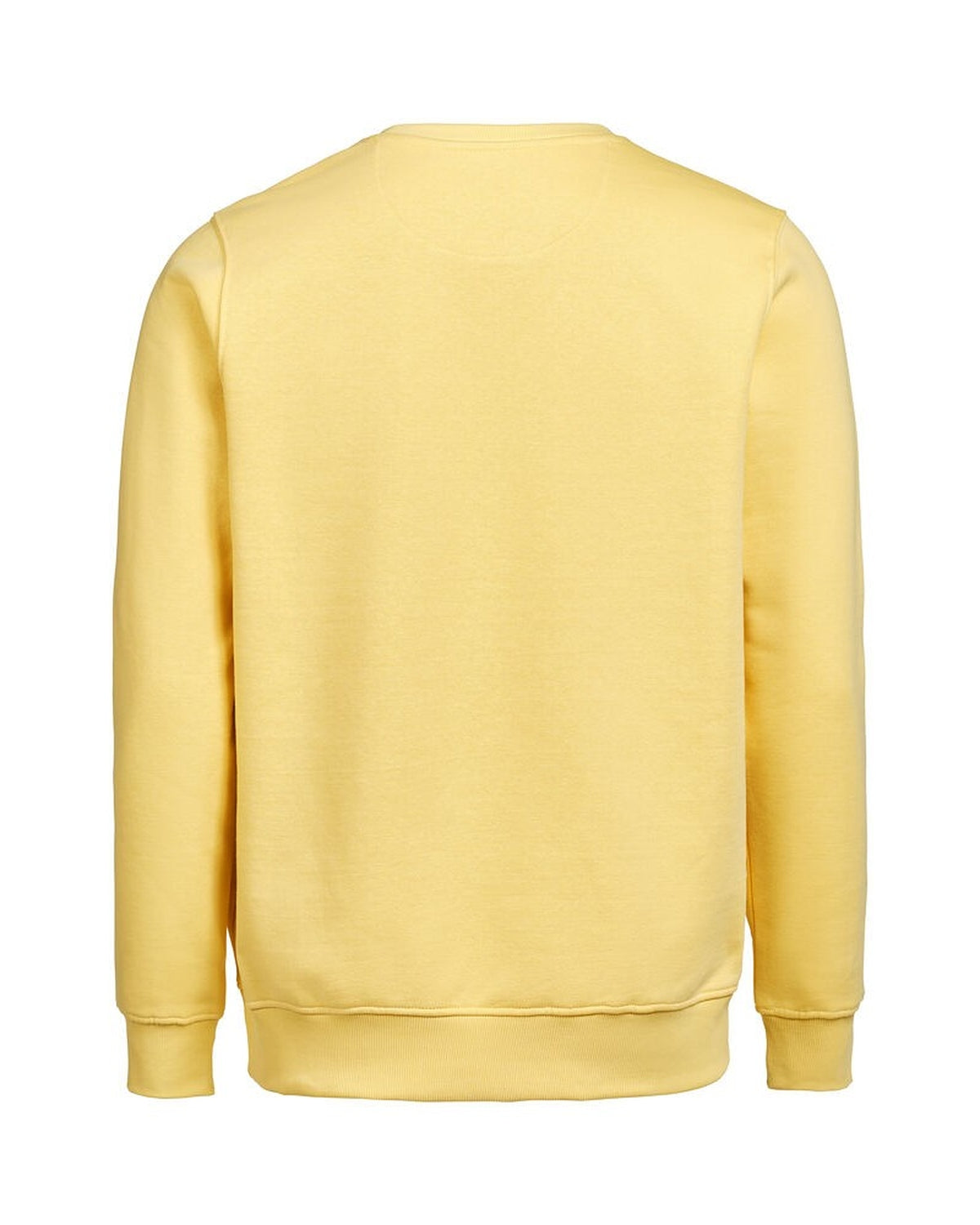 3430010_205_3_3430010-205__20UMCrewneckRegularFit_back.jpg