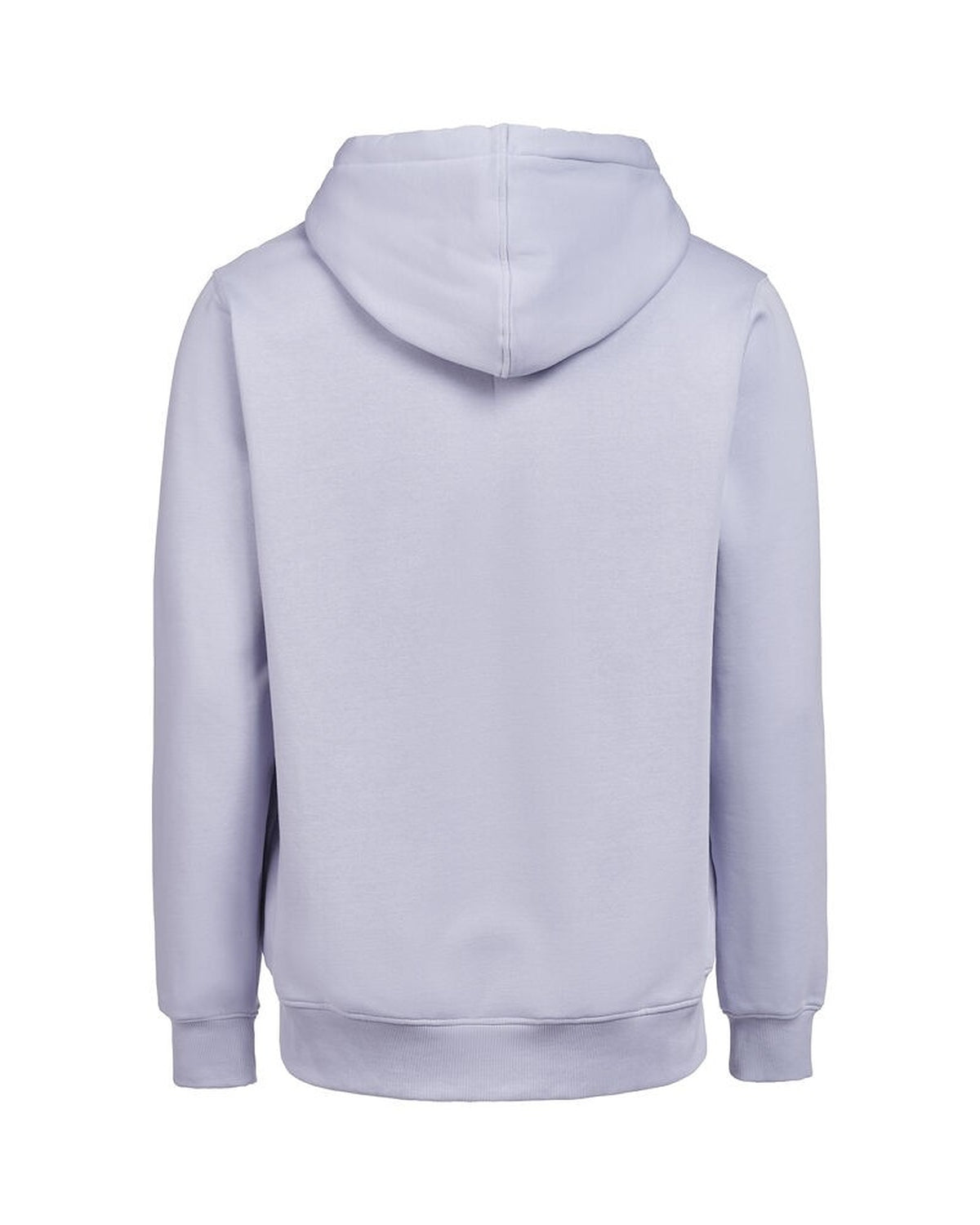 3440010_505_3_3440010-505_UMHoodieRegularFit_back.jpg