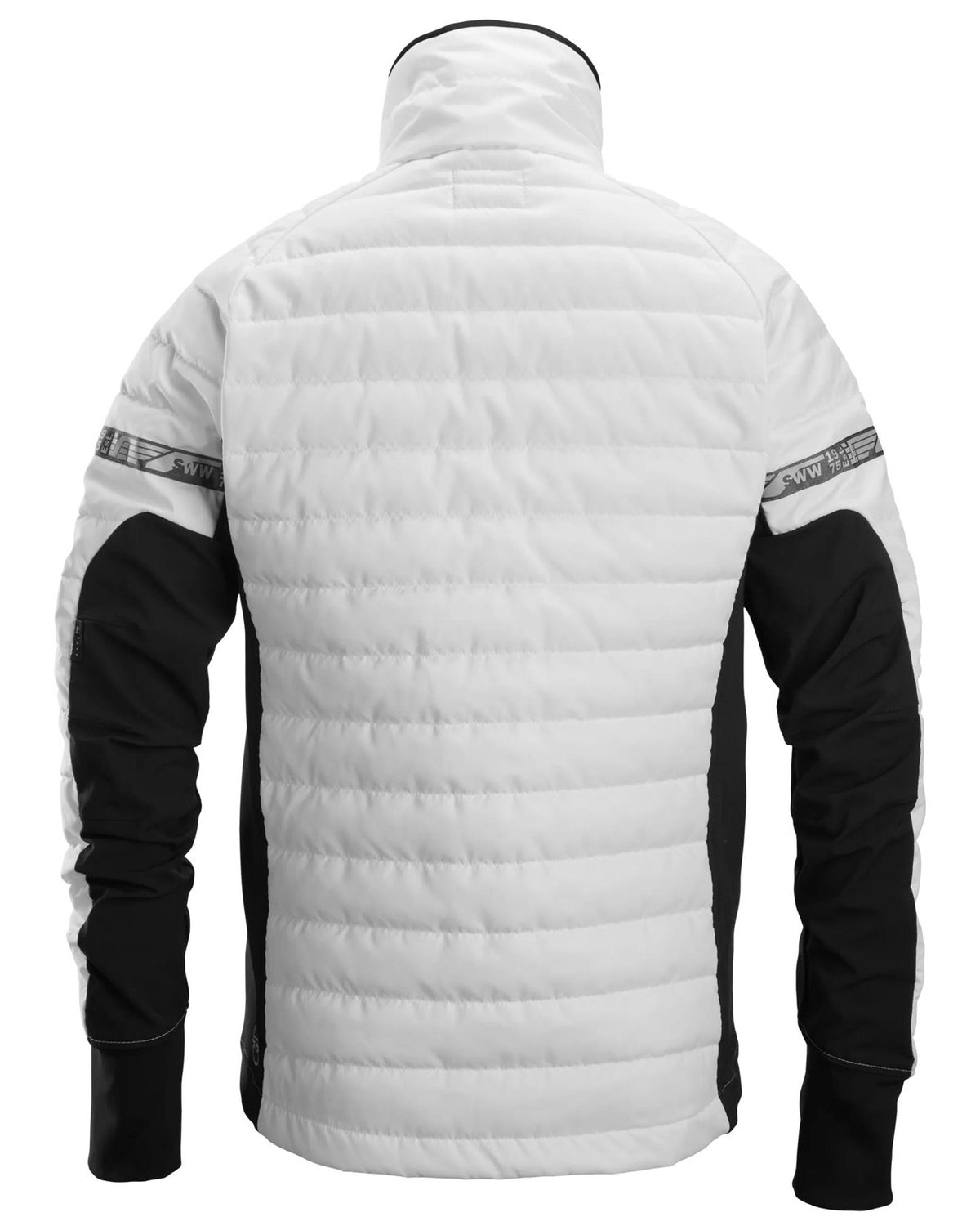 8101-0904_back.jpg