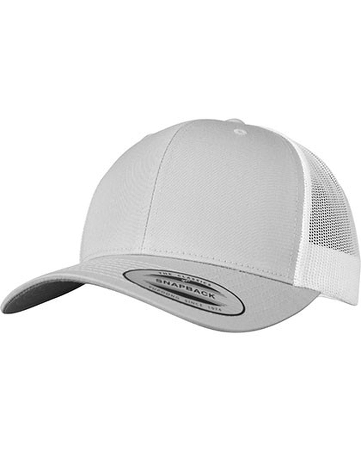 FX6606T_Silver_White.jpg