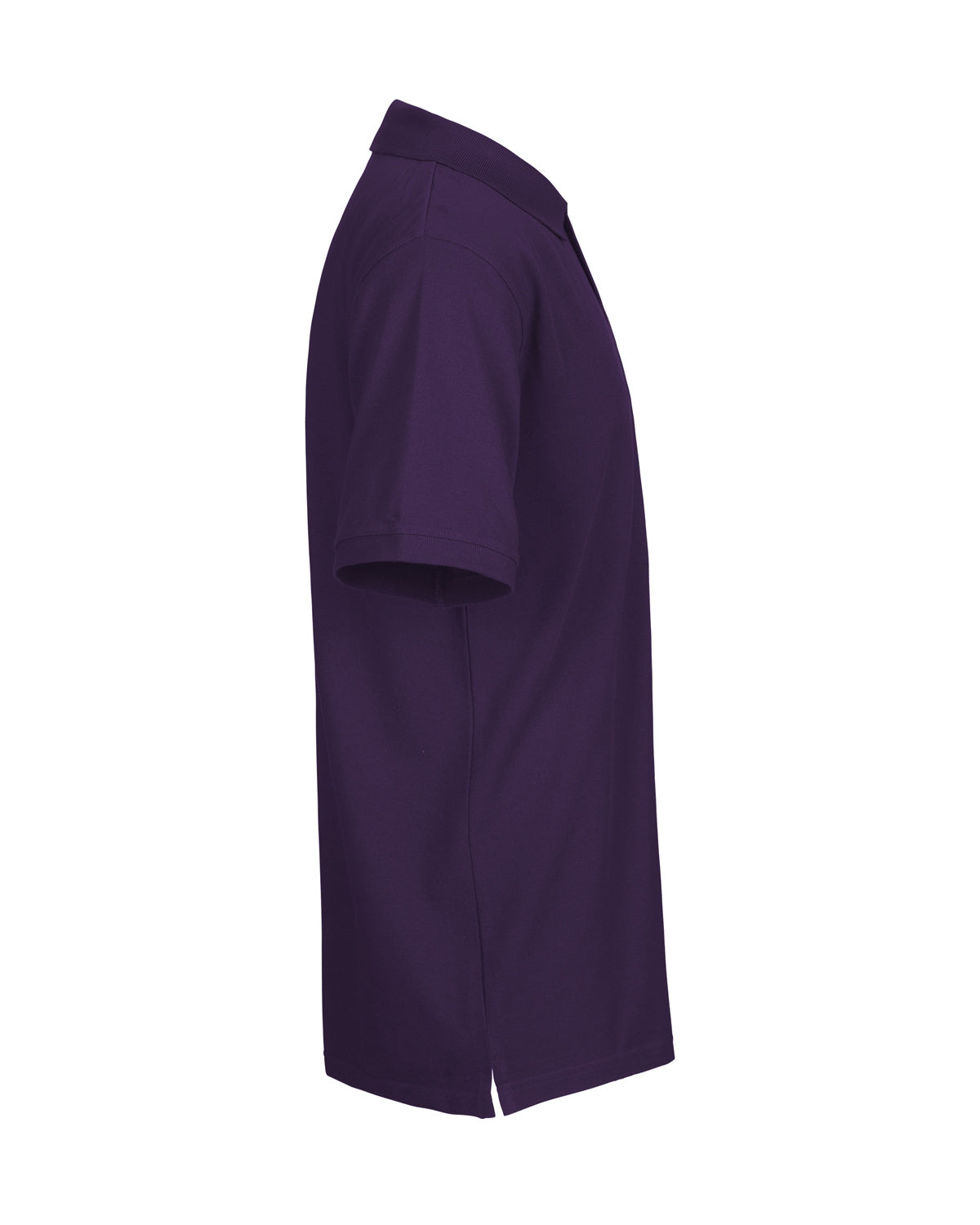 NE20080_purple_2.jpg