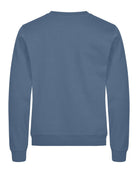 0201030_595_3_0201030-595_MiamiRoundneck_SteelBlue_back.jpg