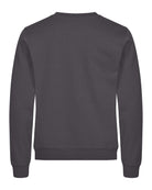 0201030_956_2_0201030-956_MiamiRoundneck_MetalGrey_back.jpg