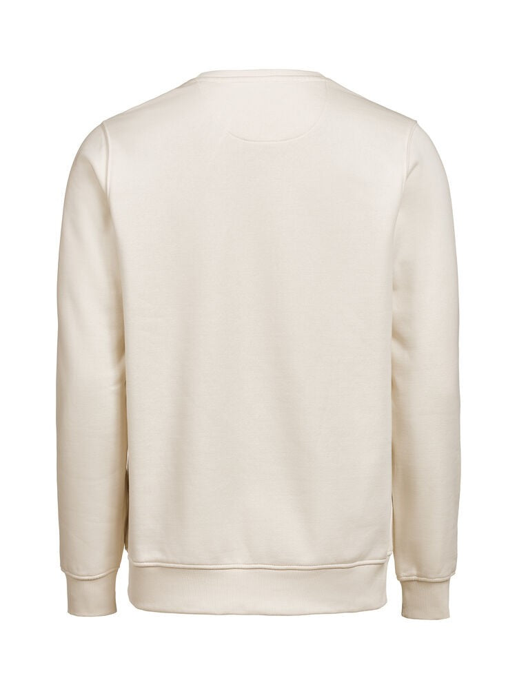 3430010_170_2_3430010-170__20UMCrewneckRegularFit_back.jpg