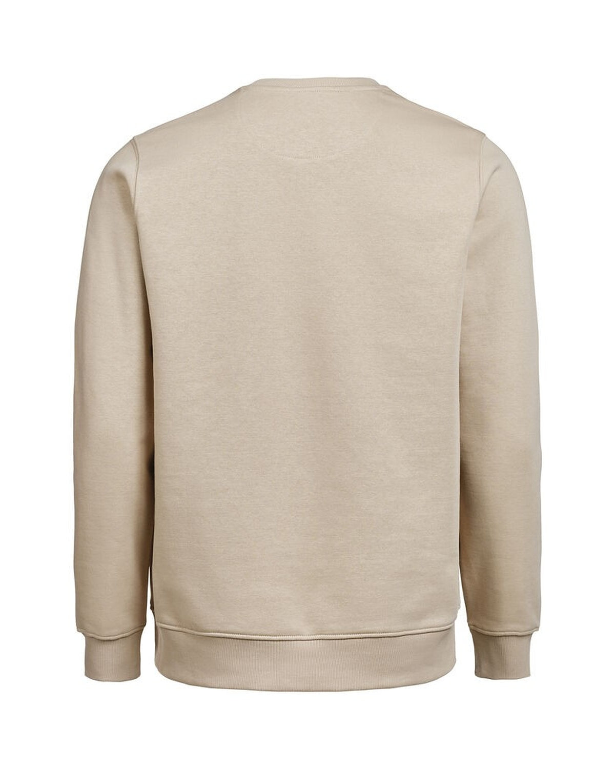 3430010_179_2_3430010-179__20UMCrewneckRegularFit_back.jpg