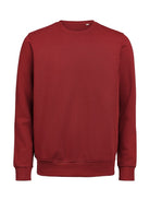 3430010_480_0_3430010-480__20UMCrewneckRegularFit_front.jpg