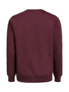 3430010_490_3_3430010-490__20UMCrewneckRegularFit_back.jpg
