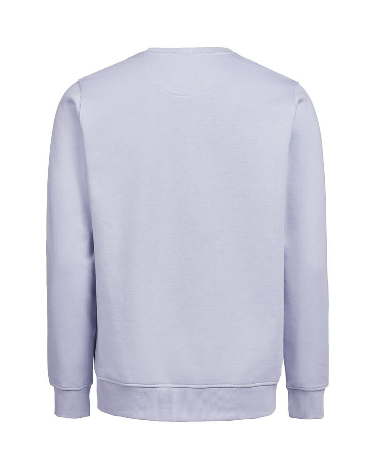 3430010_505_2_3430010-505__20UMCrewneckRegularFit_back.jpg