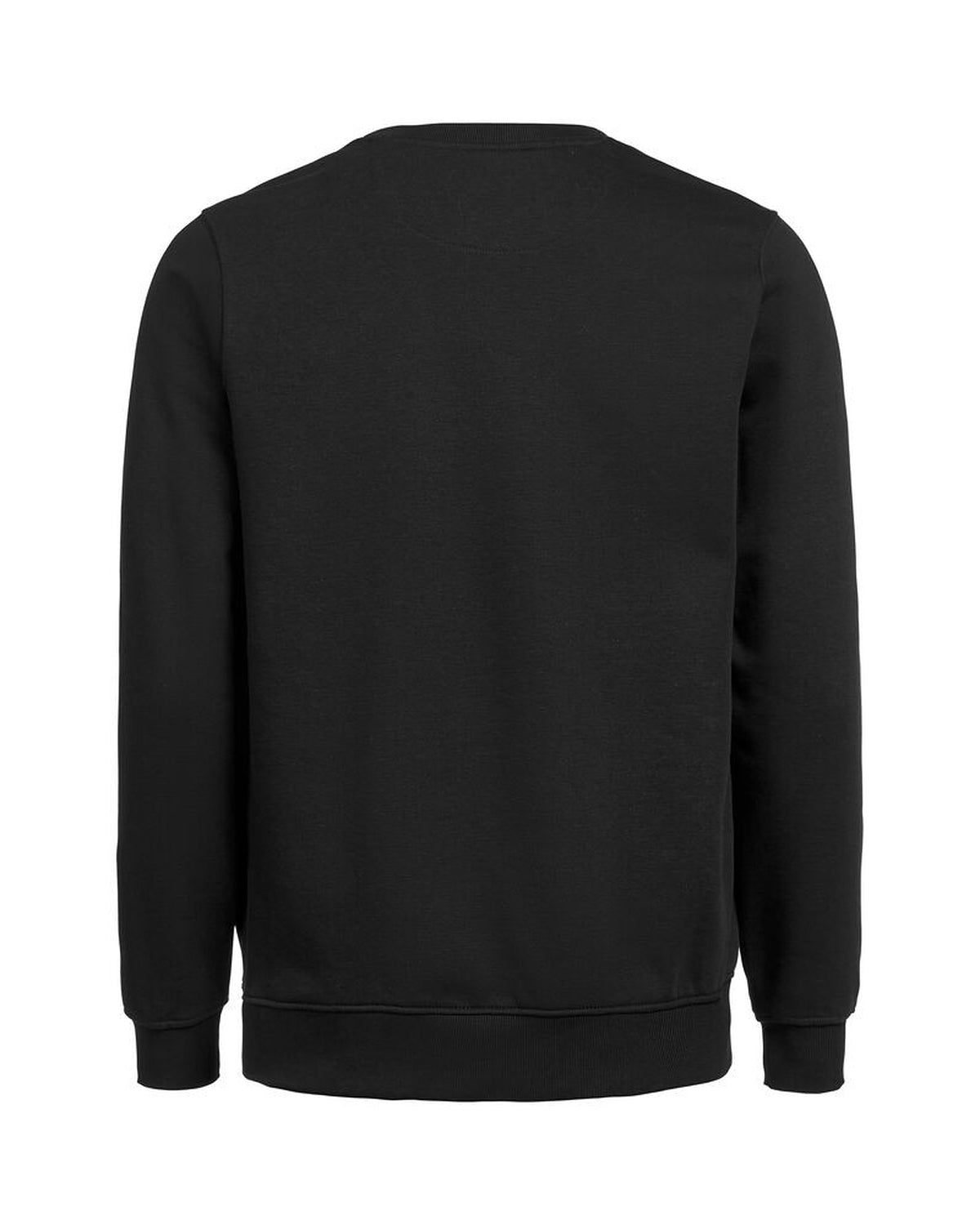 3430010_900_2_3430010-900__20UMCrewneckRegularFit_back.jpg