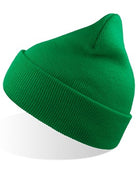 AT125_Green.jpg