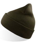 AT125_Olive.jpg