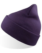AT125_Purple.jpg