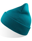 AT125_Turquoise.jpg