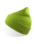 AT125_lime_green_17.jpeg