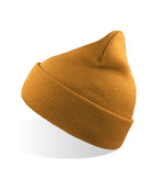 AT125_mustard_31.jpeg