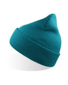 AT125_turquoise_14.jpeg