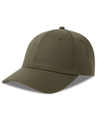 AT697_Olive.jpg