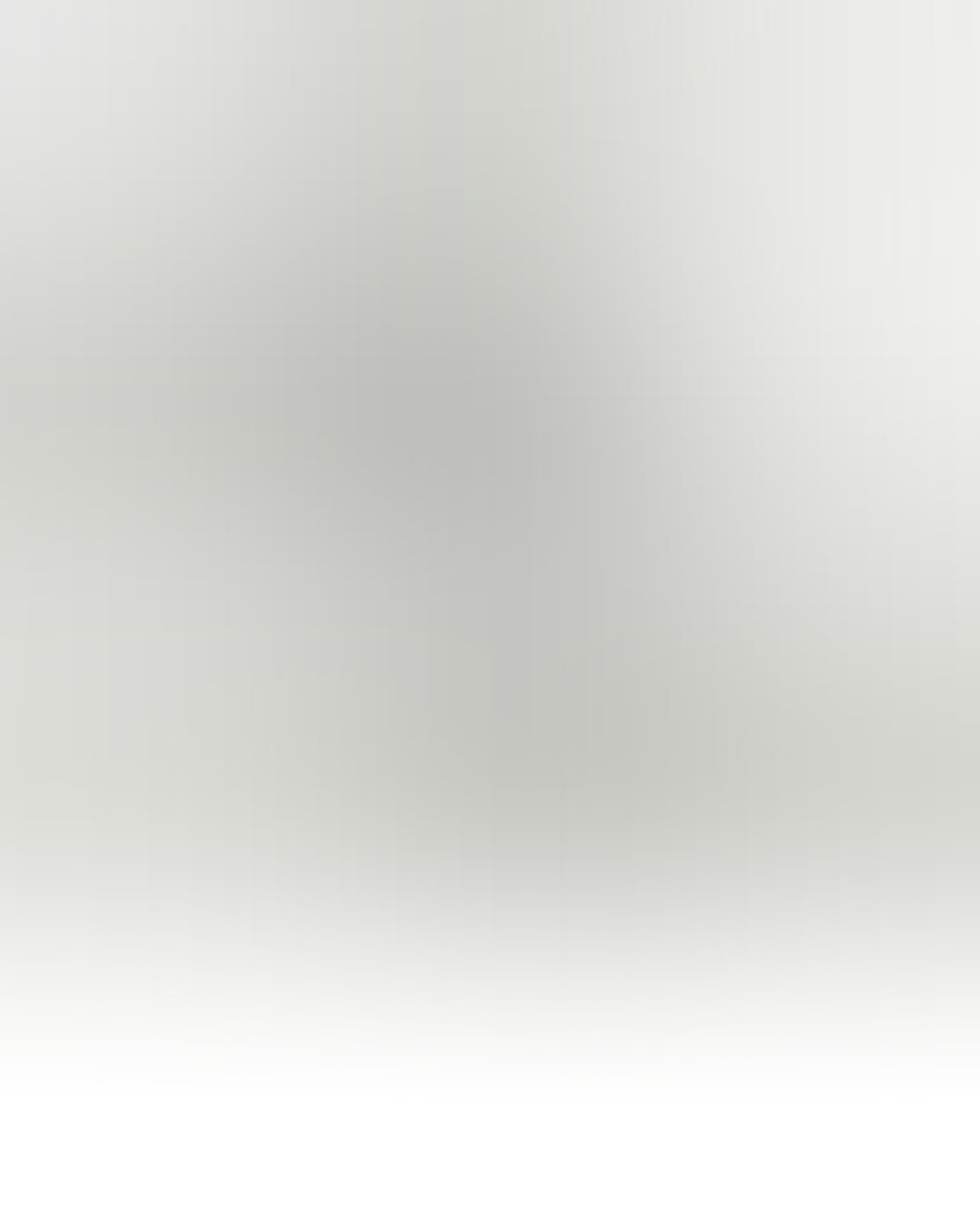 BZ12_White.jpg