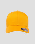FX6277_gold_1.jpg