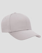 FX6277_silver_4.jpg