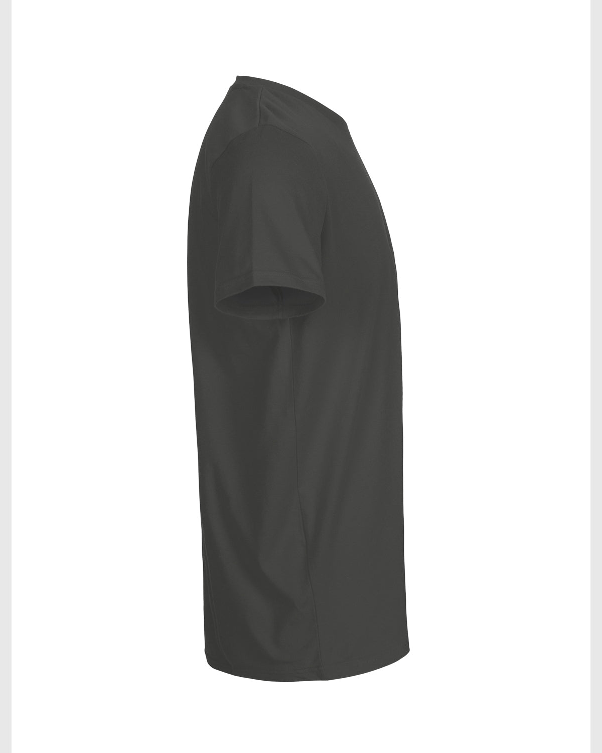 NE61001_charcoal_2.jpg