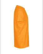NE61001_okay_orange_2.jpg