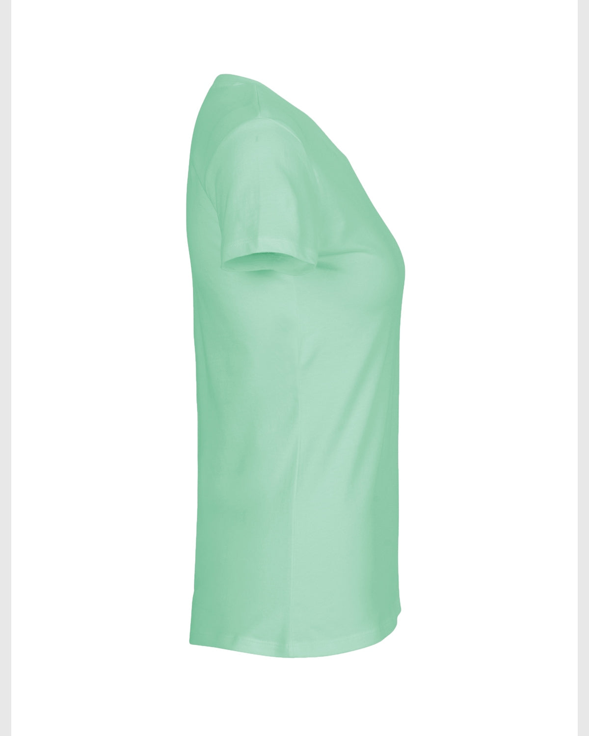 NE81001_dusty_mint_2.jpg